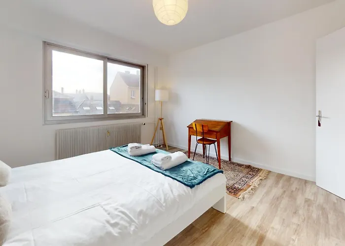 La Fecht + Parking Appartement Colmar